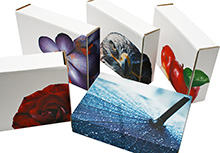 custom printed and die cut cardboard boxes