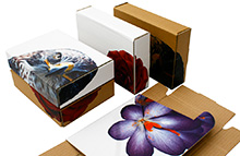 custom printed and die cut cardboard boxes